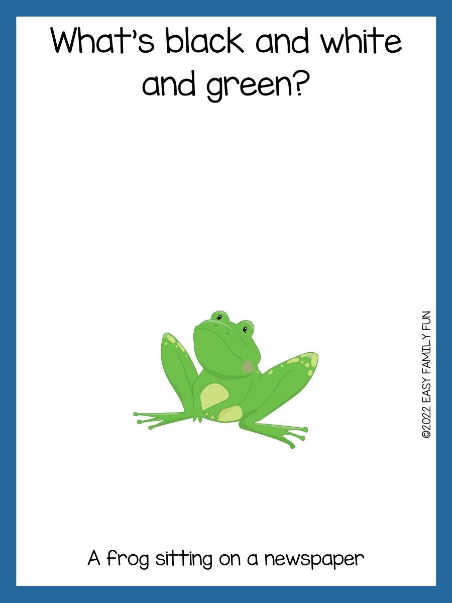 115 Best Frog Jokes For Kids that Make You Hop!