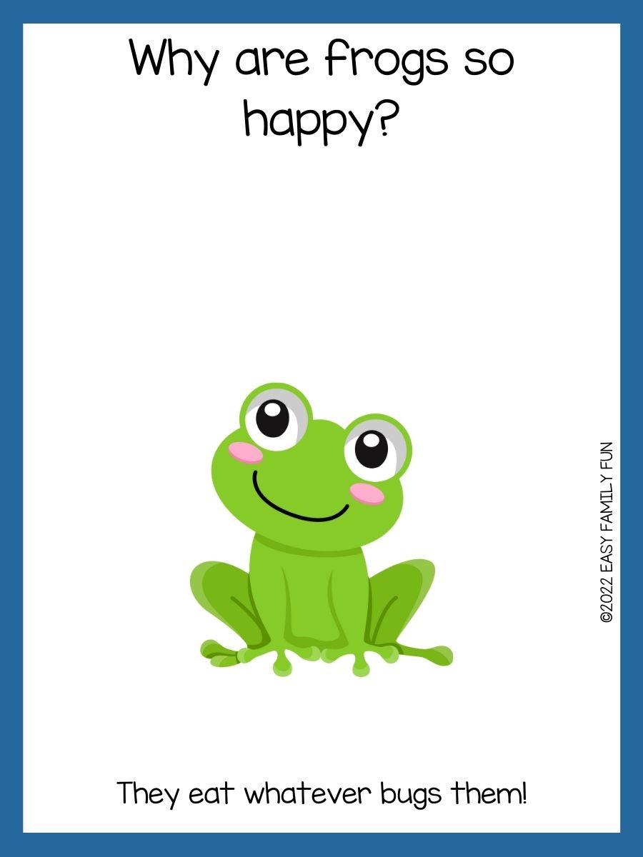 115 Best Frog Jokes For Kids that Make You Hop!