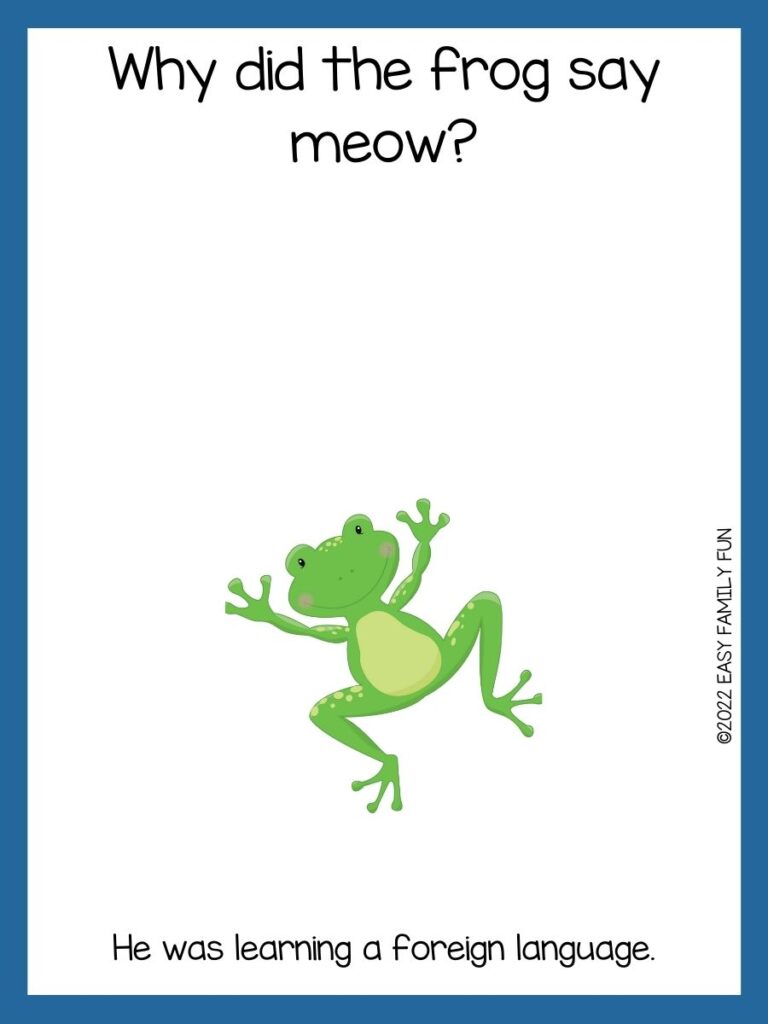 Green frog on a white background and navy blue border.