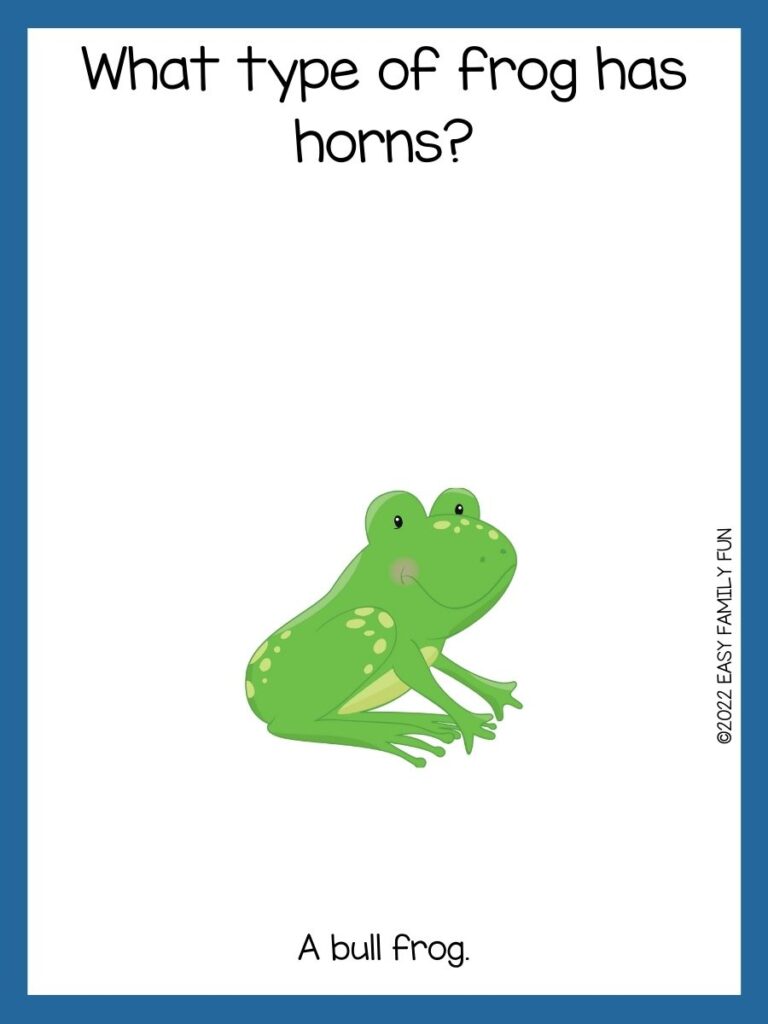 Green frog on a white background and navy blue border. 