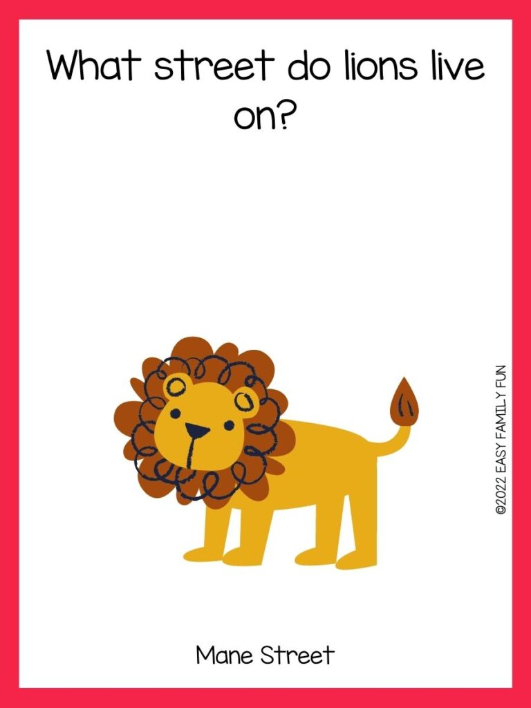 1 lion on white background and hot pink border. 