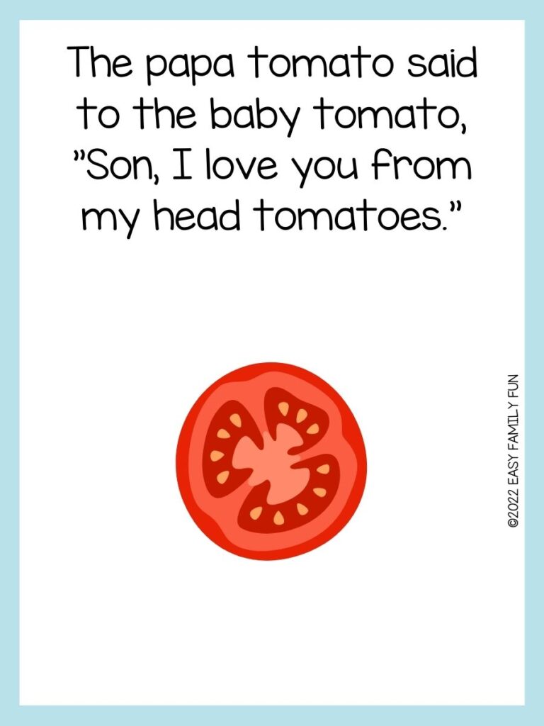 Whole tomato on white background with light blue border.