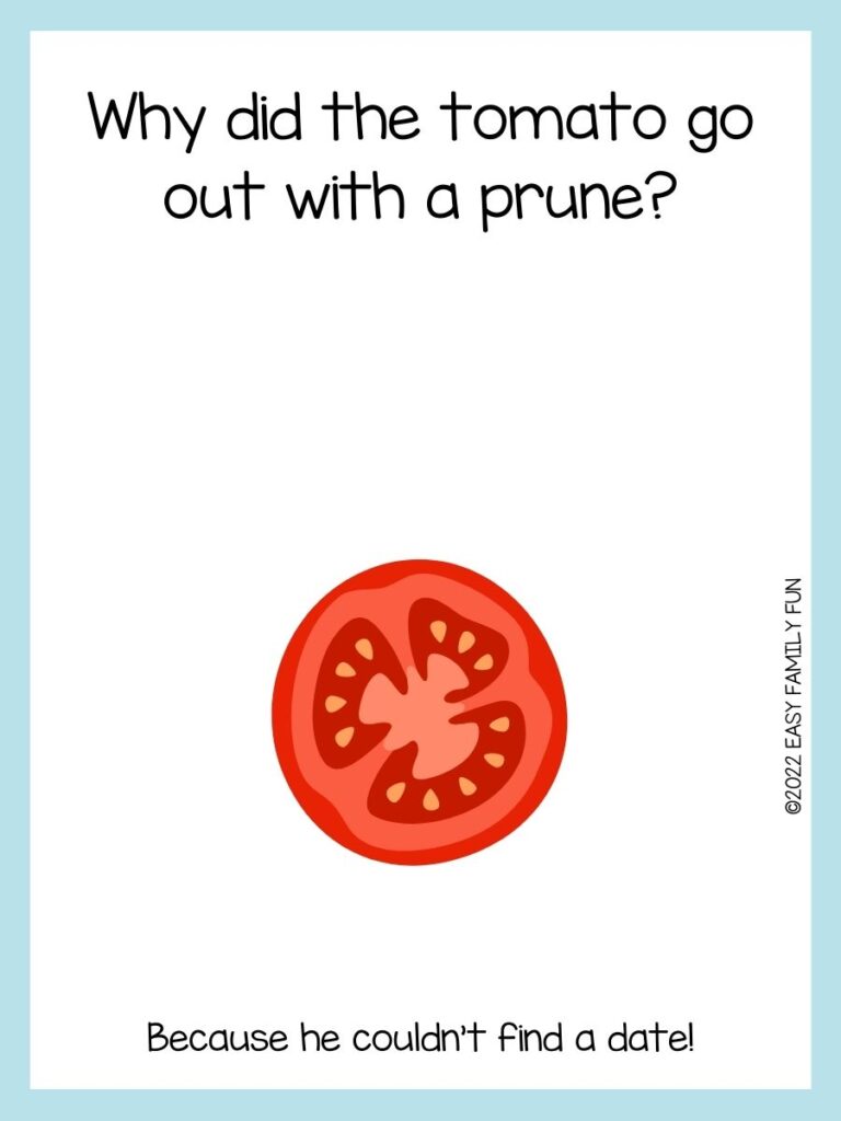 Whole tomato on white background with light blue border.