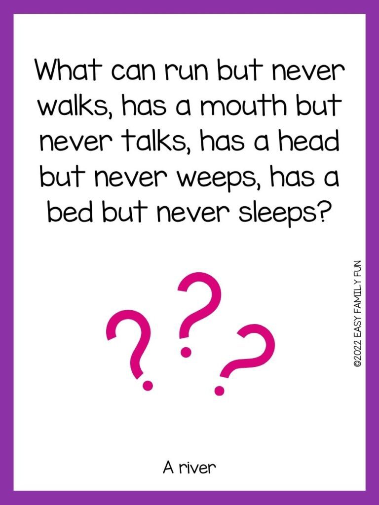 Pink question marks with a purple border and a riddle.