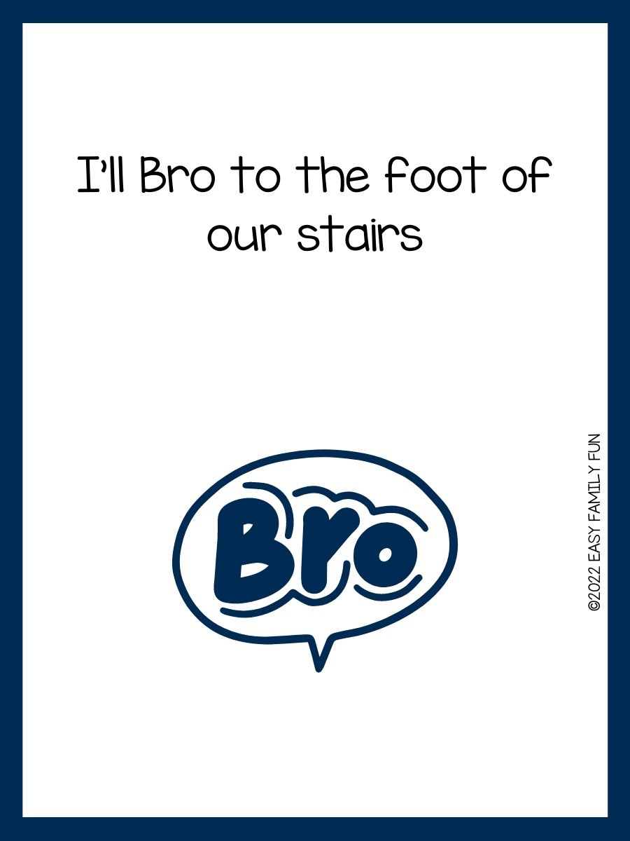 255+ Bro Puns that are Bro-Tastic! - Easy Family Fun- Games, Trivia ...