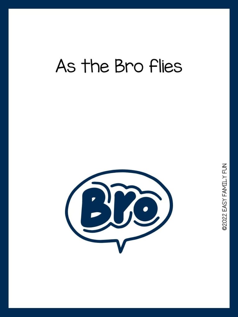 Speech bubble saying Bro with blue border and bro pun