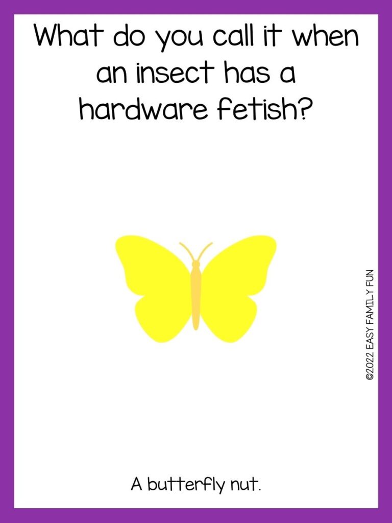 Yellow butterfly on white background with a butterfly joke and purple border.