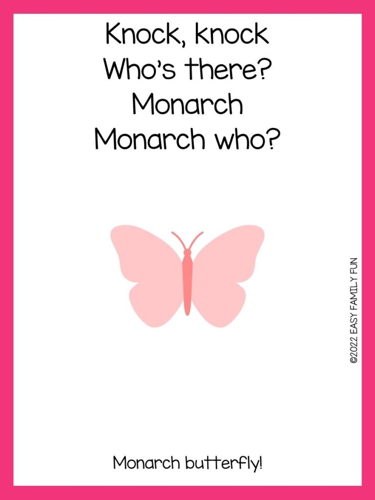 Pink butterfly with butterfly knock knock joke and pink border
