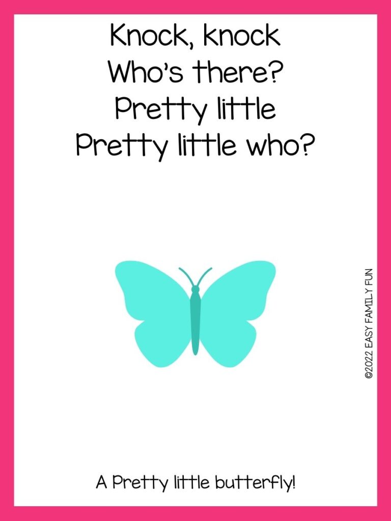 Teal butterfly with butterfly knock knock joke and pink border