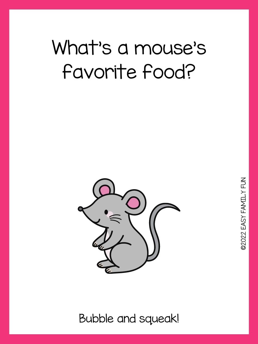The Best Mouse Jokes For Kids That Make You Squeak!
