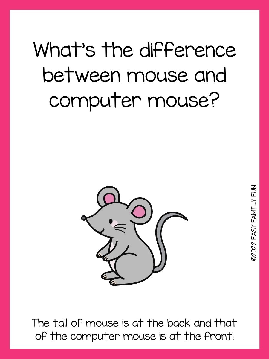 The Best Mouse Jokes For Kids That Make You Squeak!