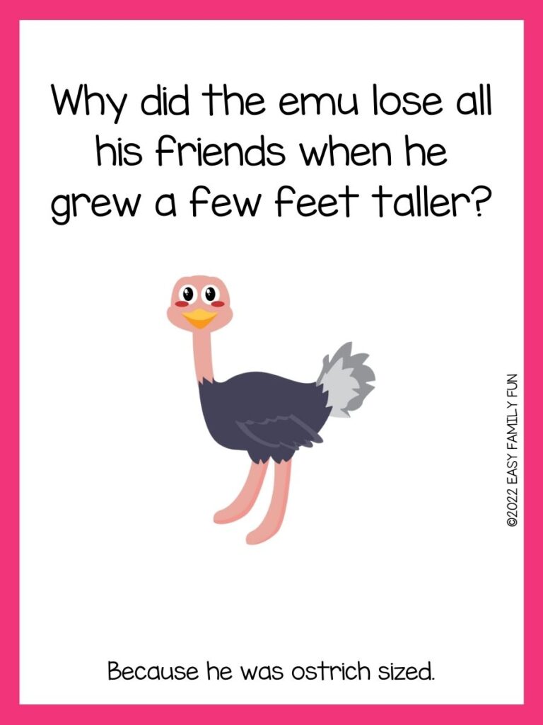 1 ostrich with pink border with an ostrich joke