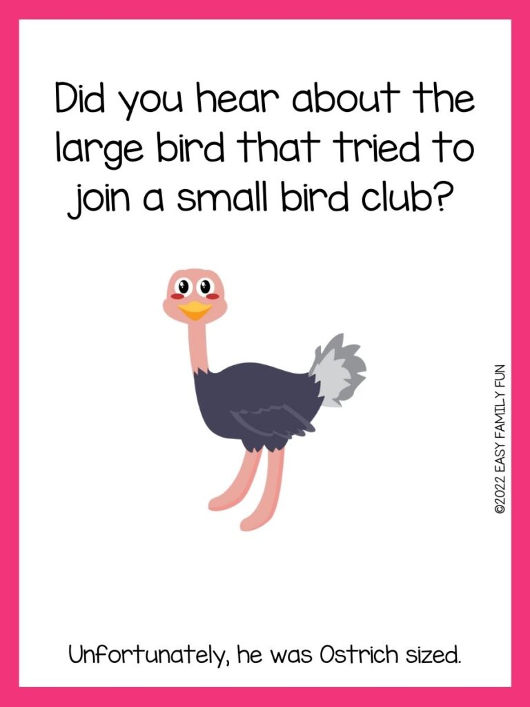 1 ostrich with pink border with an ostrich joke