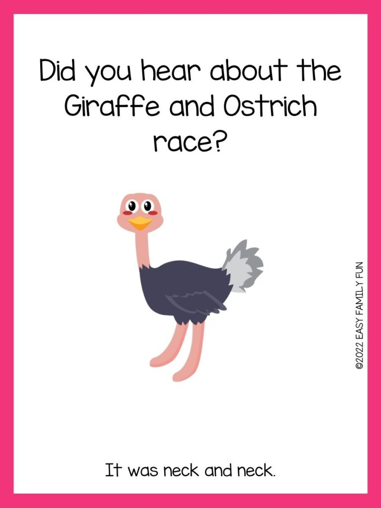 1 ostrich with pink border with an ostrich joke