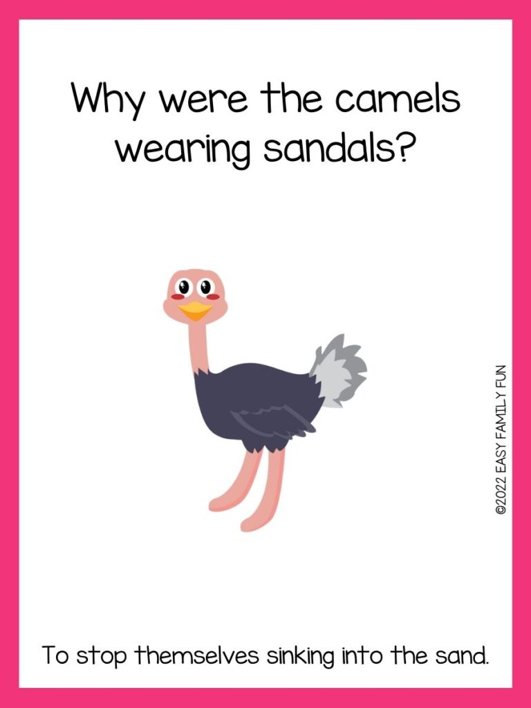 1 ostrich with pink border with an ostrich joke