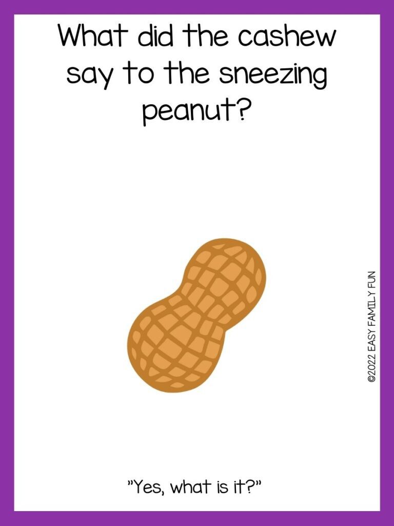 white background with peanut in the middle and a peanut joke with purple border