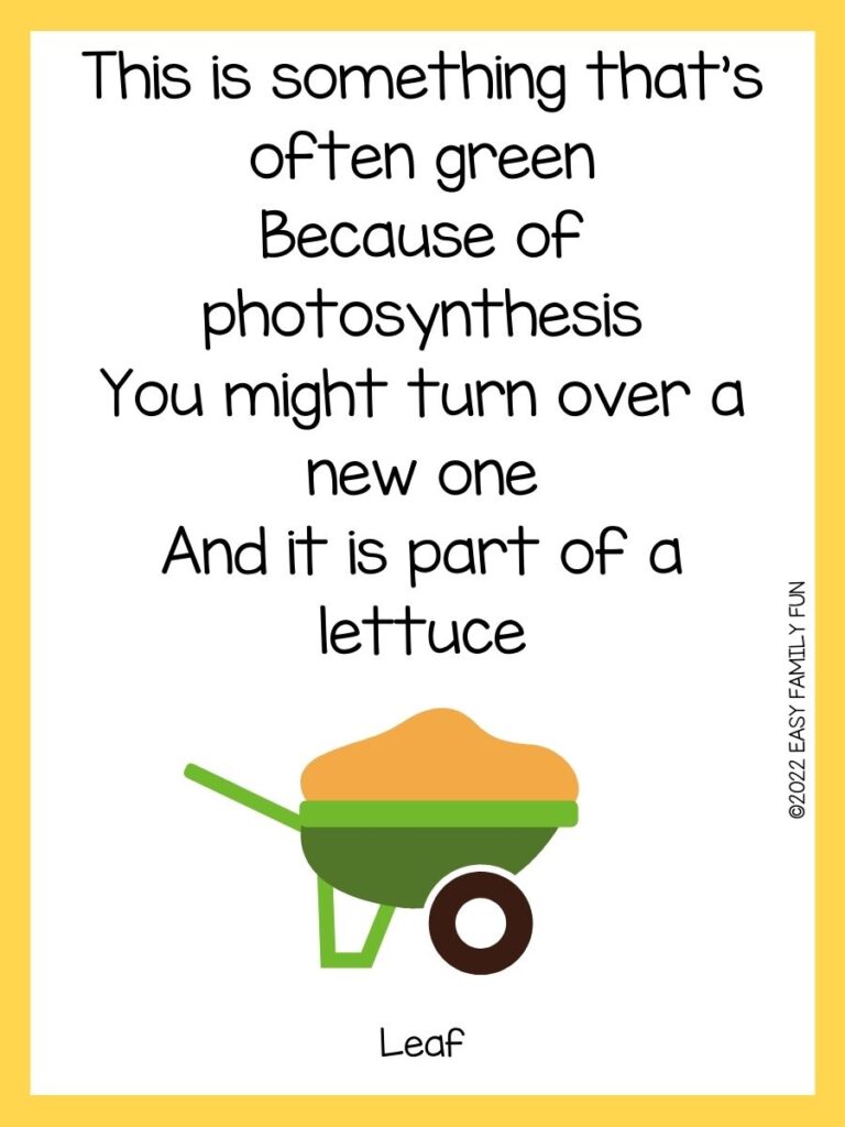 Wheelbarrow card with yellow border and a plant riddle.