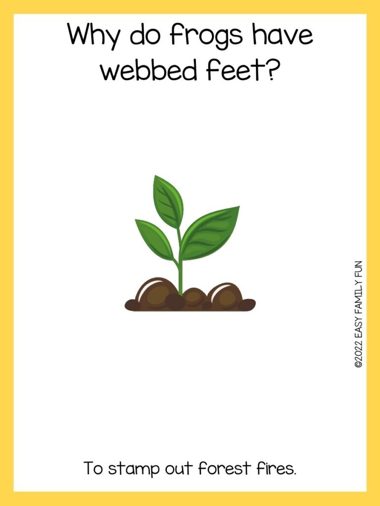 Plant card with a yellow border and a plant riddle.