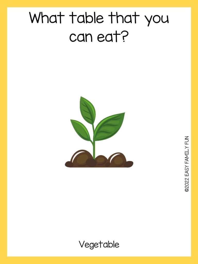 Plant card with a yellow border and a plant riddle.