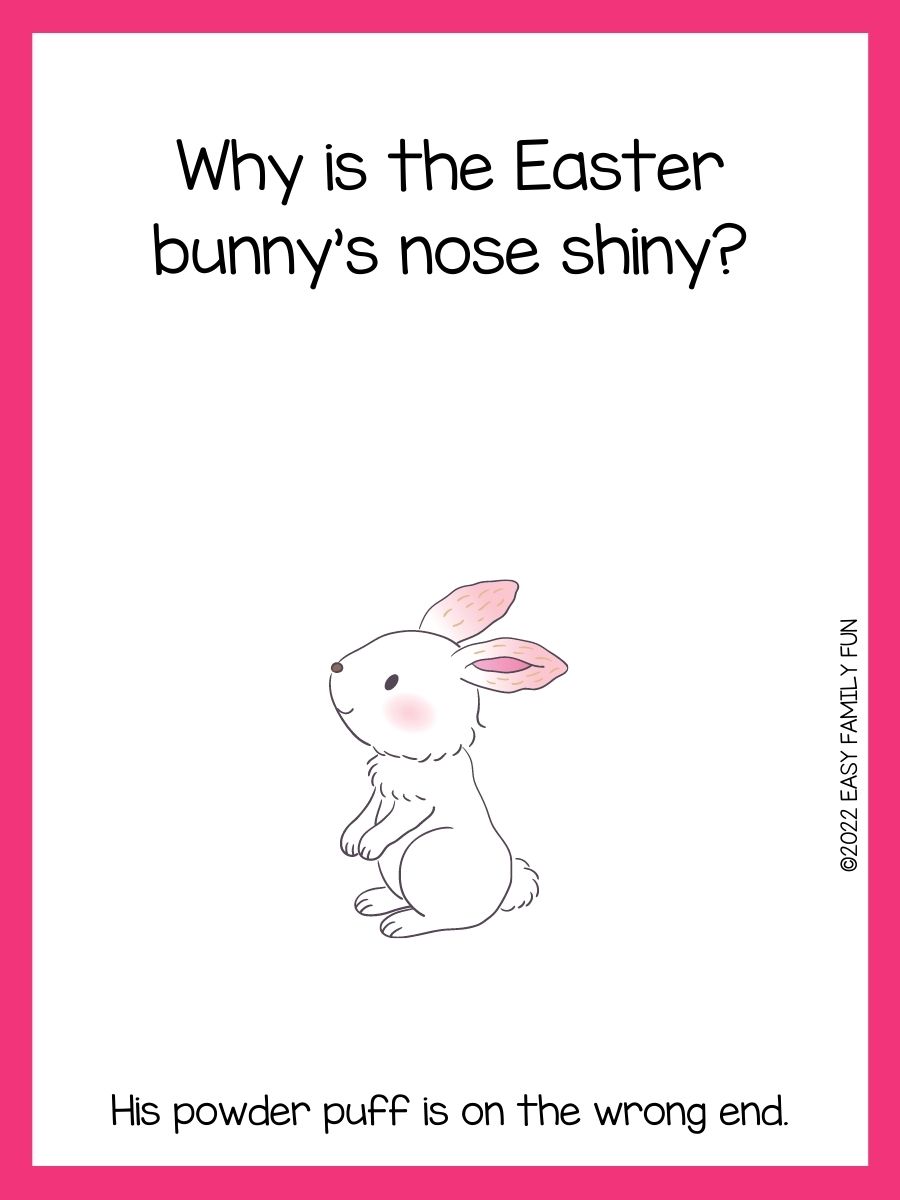 65 The Best Rabbit Riddles For Kids That Make You Hop!