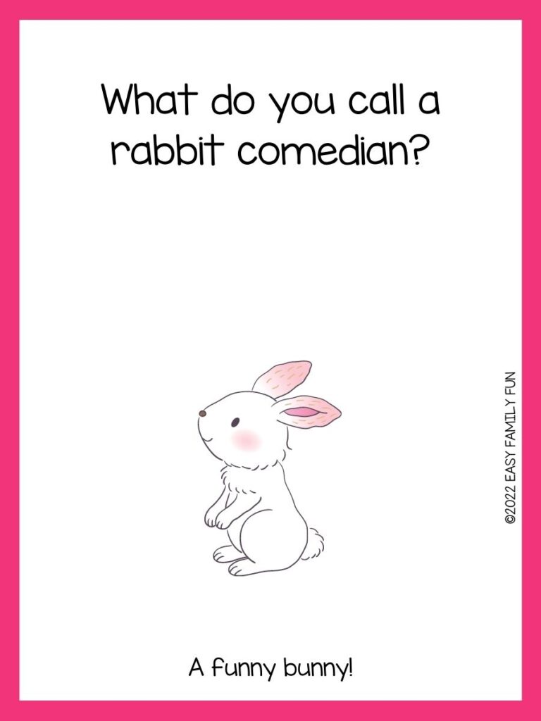 A smiling rabbit on it's hind legs with a pink border and rabbit riddle