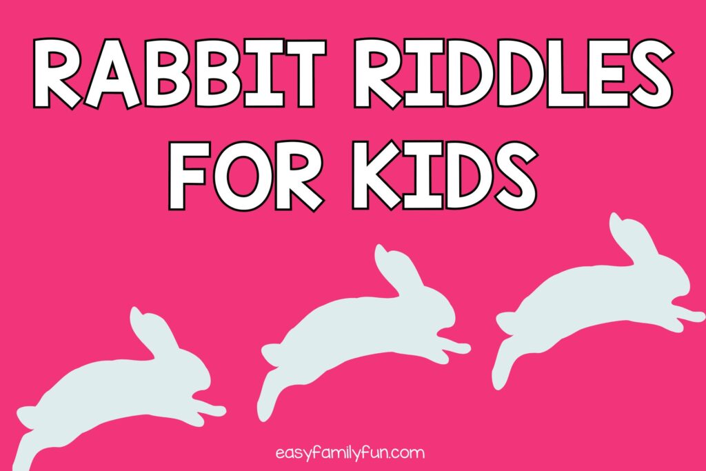 3 white rabbits on pink background with white text that says "rabbit riddles for kids"