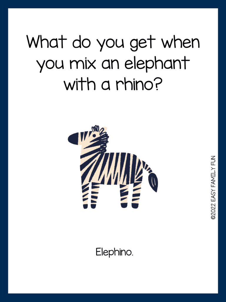 zebra with with black stripes on white card with blue border and zoo joke