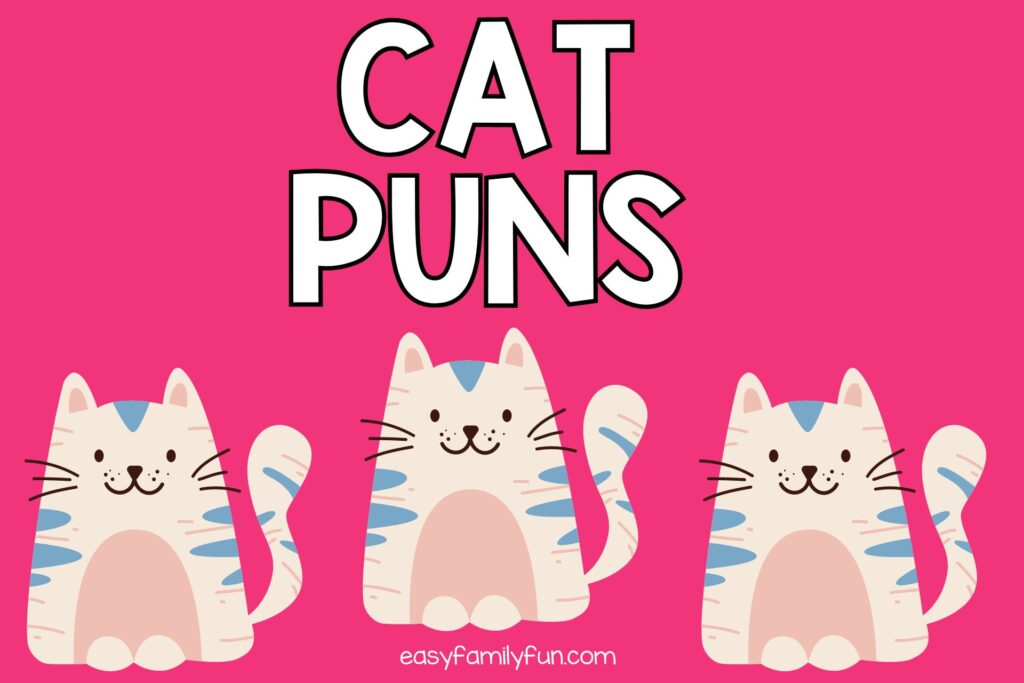 3 white cats on pink background with white text "cat puns"