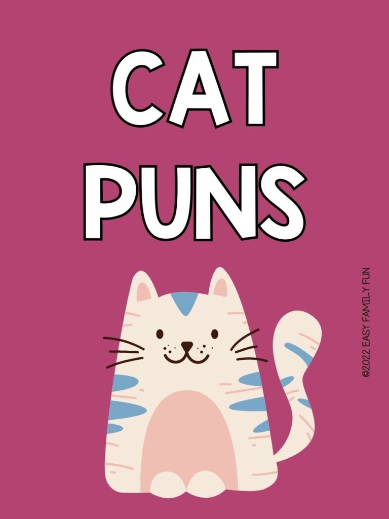 1 white cat on purple background with white text "Cat puns"