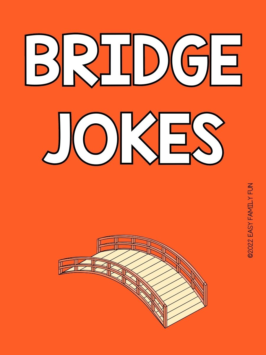 Funny Bridge Jokes Youll Love 2354