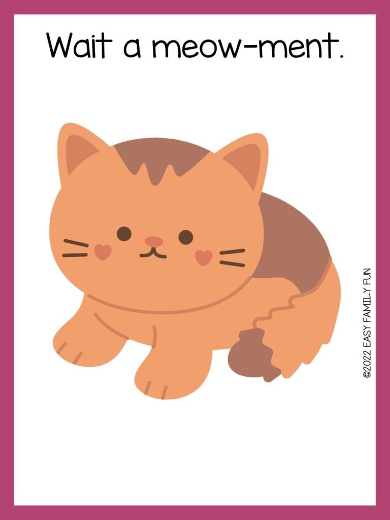 Pink border with white background, an orange fuzzy cat with dark orange heart shape cheeks in the middle of the page, and the pun in black font.