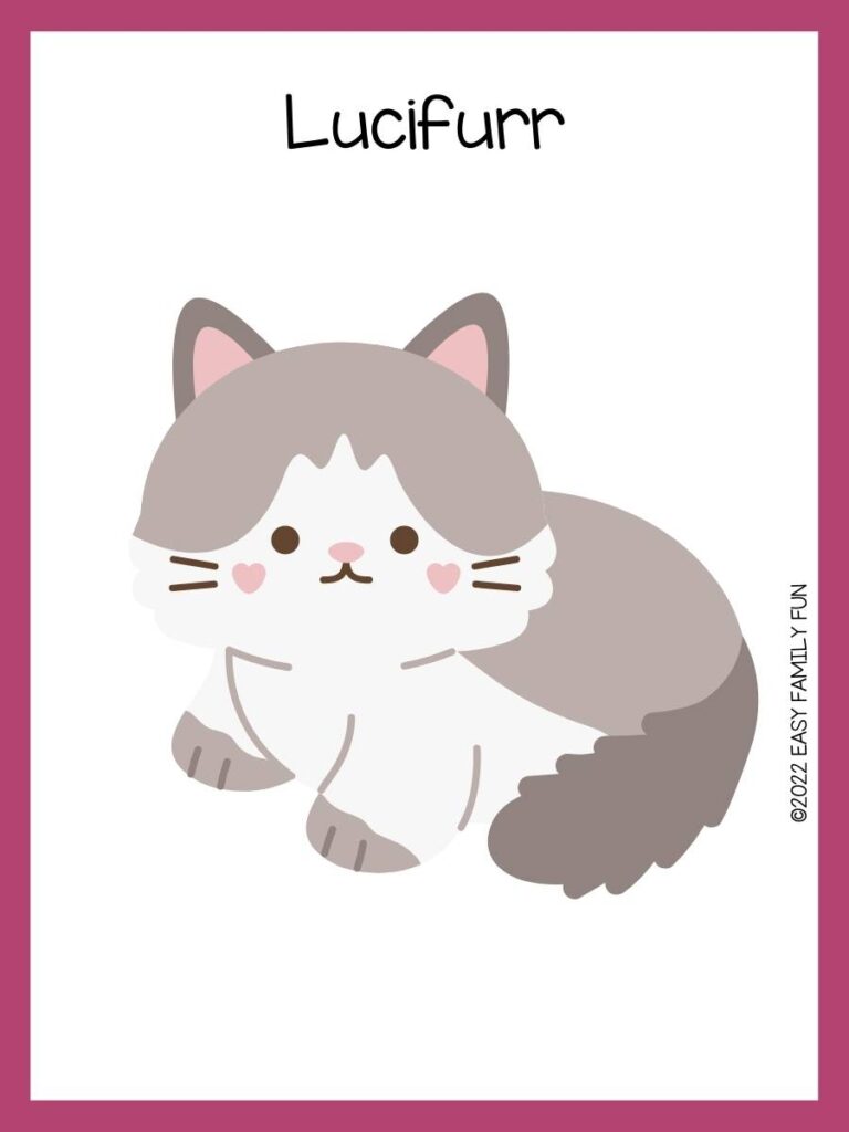 Pink border with white background, in middle of page a gray and white cat with pink heart shape cheeks and the riddle in black font over the cat. 