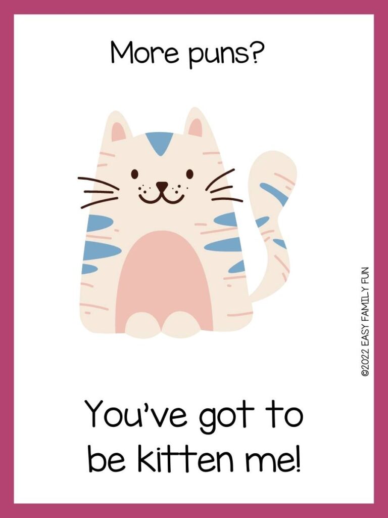 Pink border with white background, with a cream-colored cat with pink and blue strips and black font. 