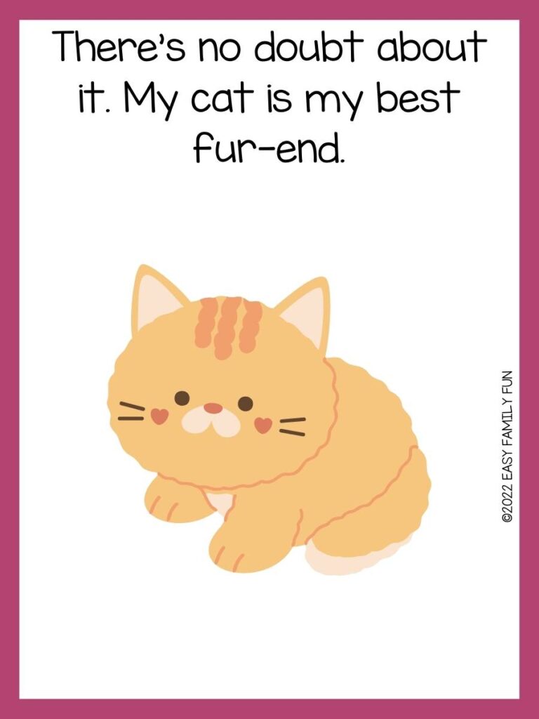 Pink border with white background, an orange fuzzy cat with dark orange heart shape cheeks in the middle of the page, and the pun in black font above the cat. 