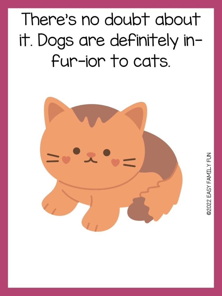 pink border with a white background, an orange and brown cat  with a fuzzy tail with pink cheeks and the pun in black font