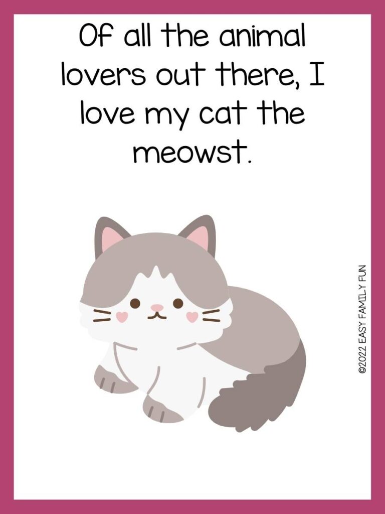 Pink border with white background, in middle of page a fuzzy gray and white cat with pink heart shape cheeks  and the riddle in black font over the cat. 