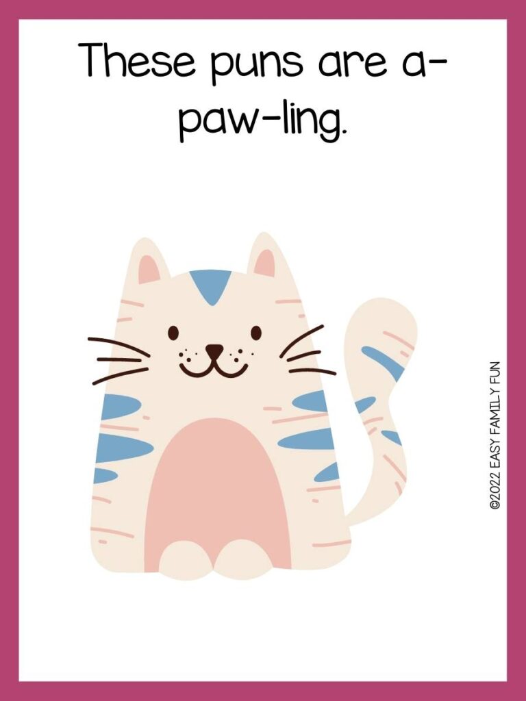 Pink border with white background, with a cream-colored cat with pink and blue strips and black font. 