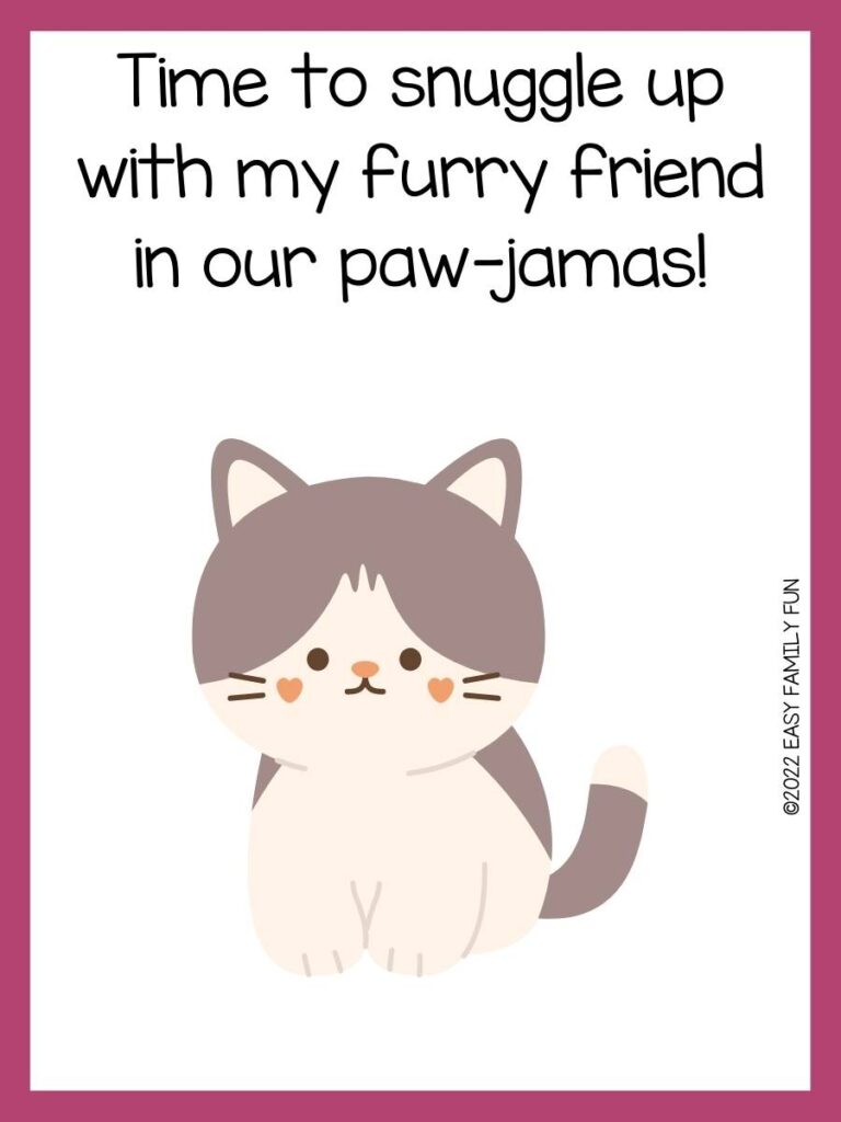 pink border with a white background and a gray and cream color cat with orange heart cheeks and black font
