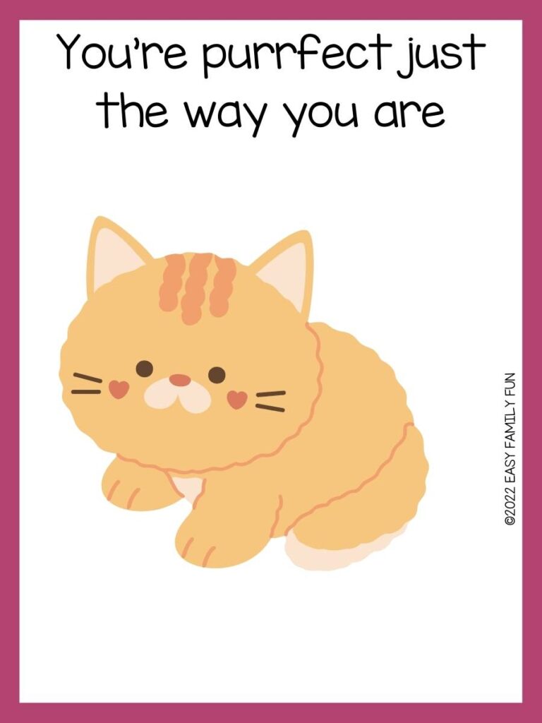 Pink border with white background, an orange fuzzy cat with dark orange heart shape cheeks in the middle of the page, and the pun in black font.