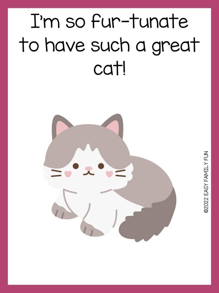 Pink border with white background, in middle of page a fuzzy gray and white cat with pink heart shape cheeks and the riddle in black font over the cat. 