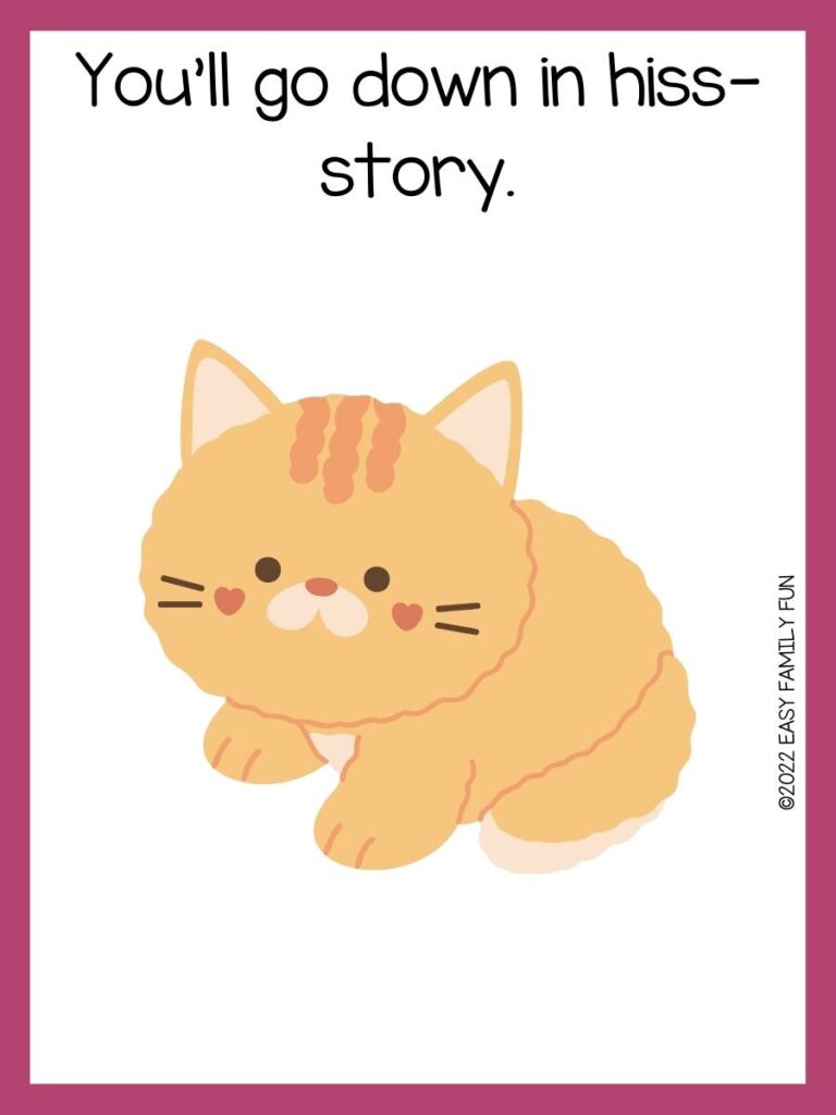 Pink border with white background, an orange fuzzy cat with dark orange heart shape cheeks in the middle of the page, and the pun in black font.