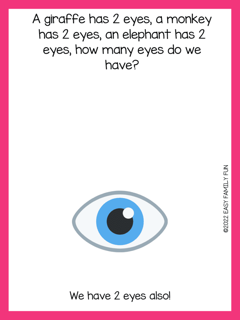 eye riddle image with pink border