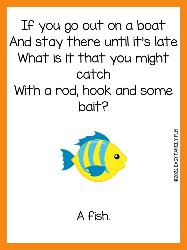 yellow and blue fish on white background with orange border