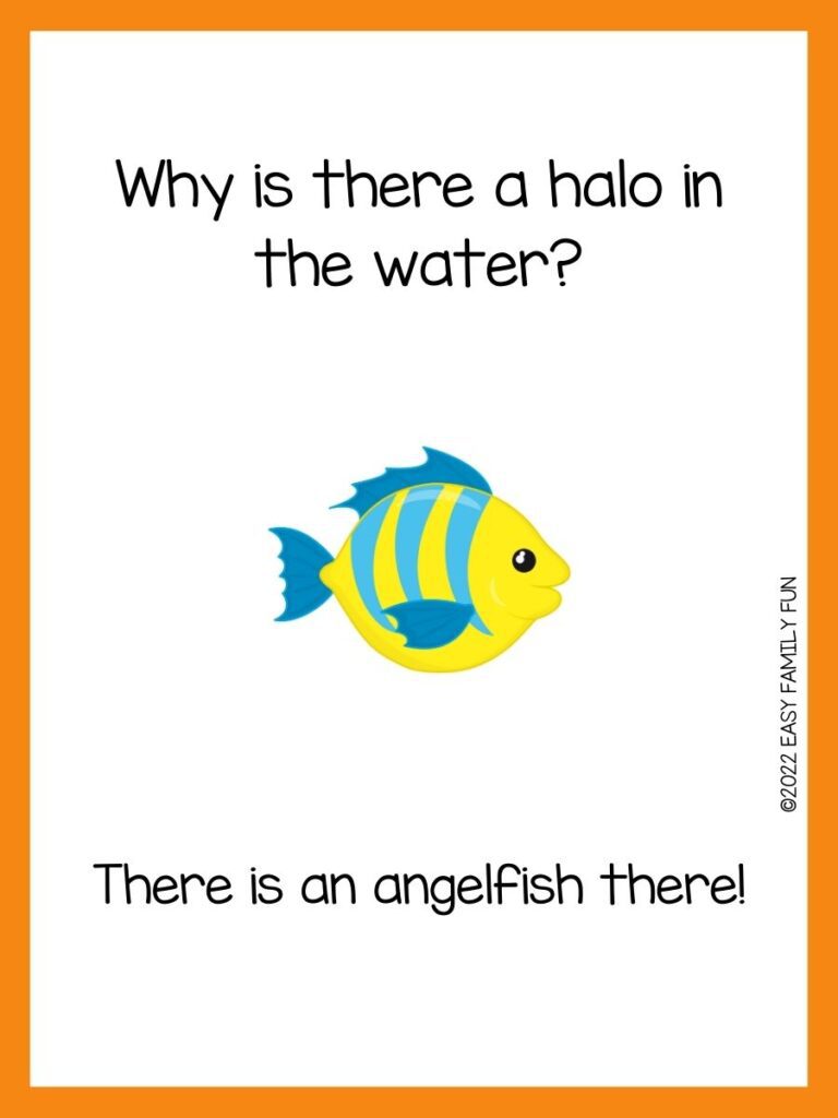 yellow and blue fish on white background with orange border
