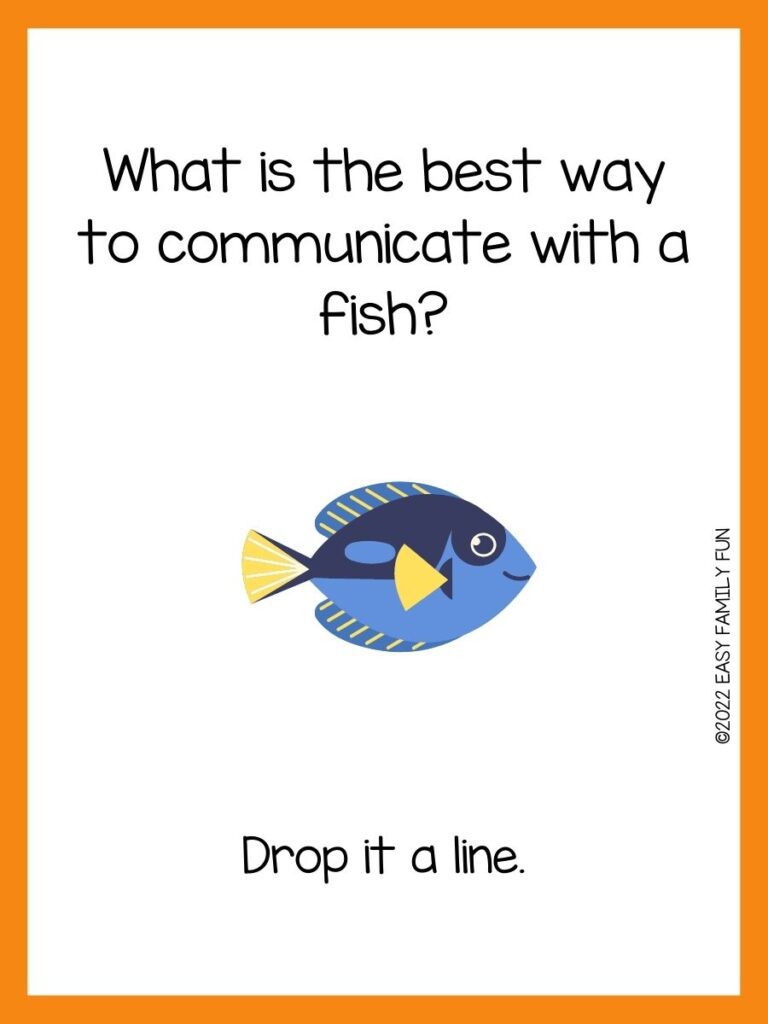 blue and yellow fish on white background with orange border