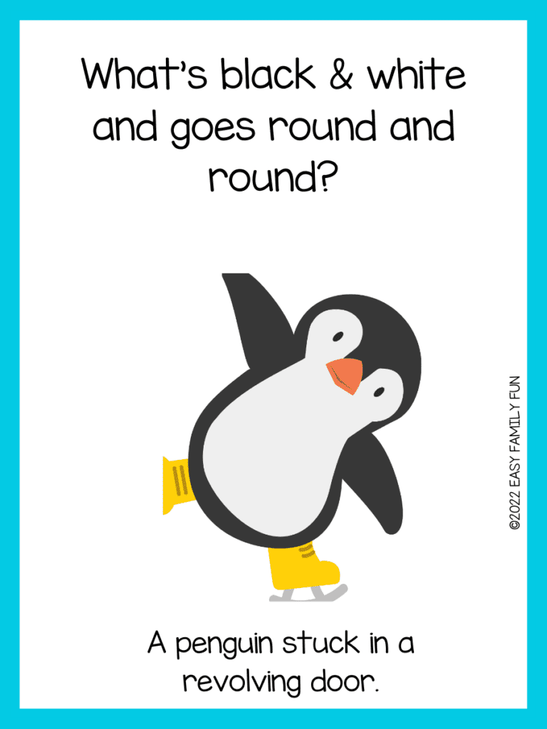 Penguin Riddle on image card with blue border