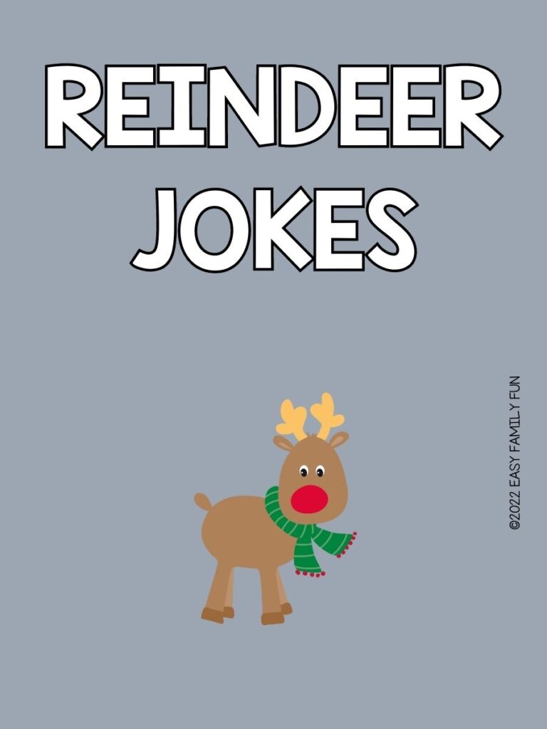 1 reindeer on gray background with white text that says Reindeer jokes