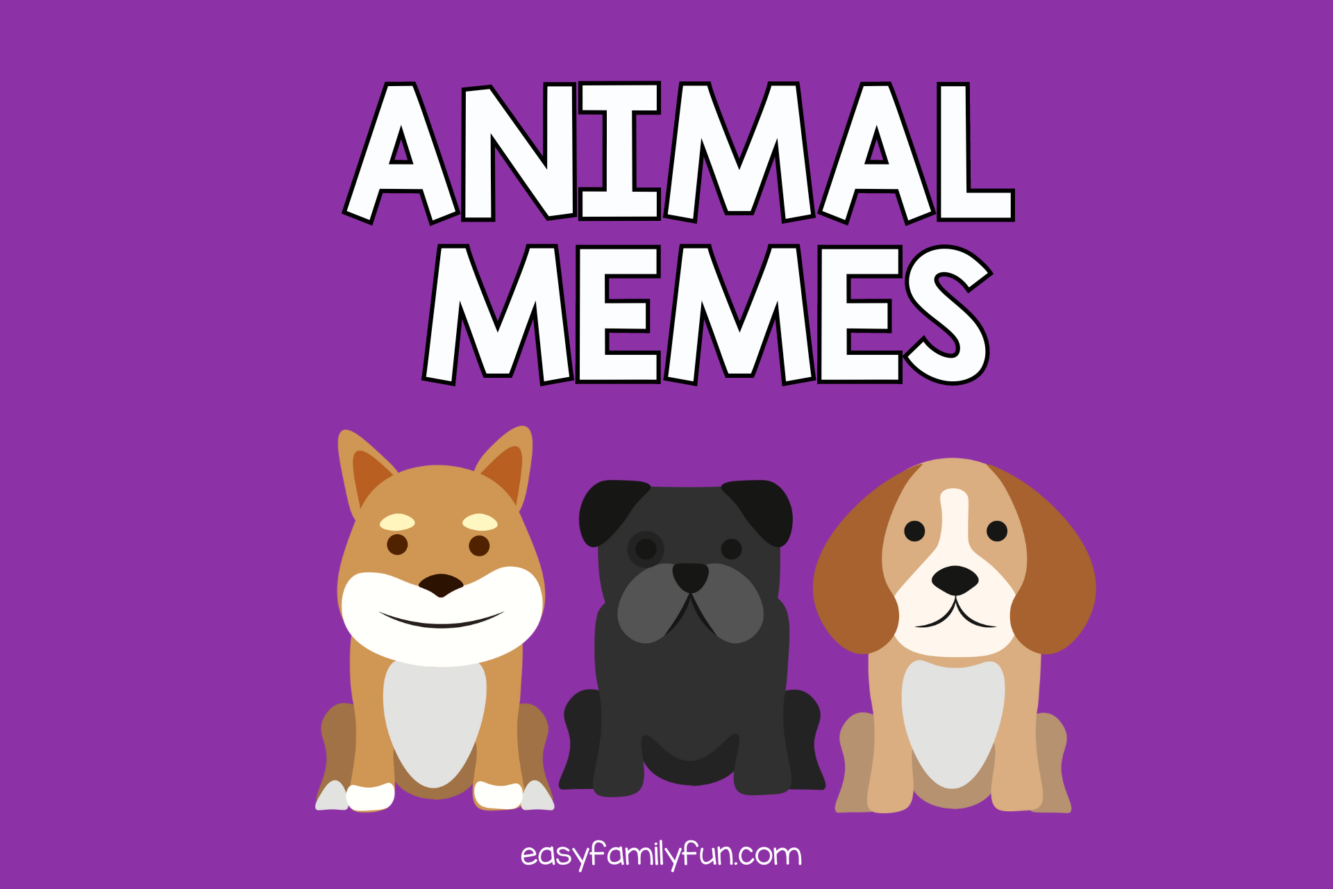 animal-memes