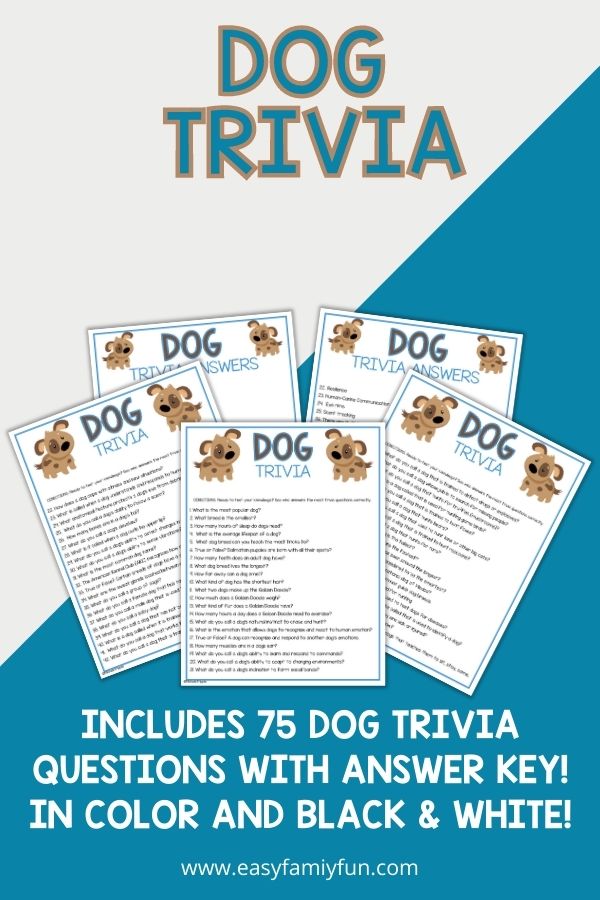 Dog trivia cards on a blue and white background with white lettering.