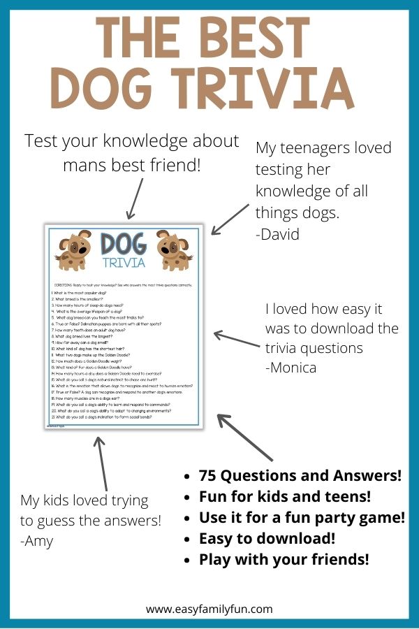 Dog trivia sheet with black wording around it. 